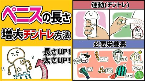 ちんこ 大きくする方法|ちんこを太くしたい男性にオススメ！即効性・安全性。